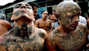 MS-13