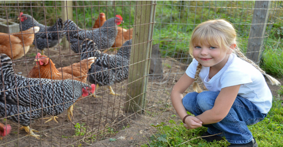 Michigan Loses “Right To Farm”