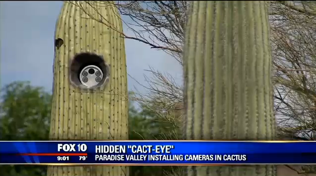 Arizona Town Installs License Scanning Cameras In Cactuses