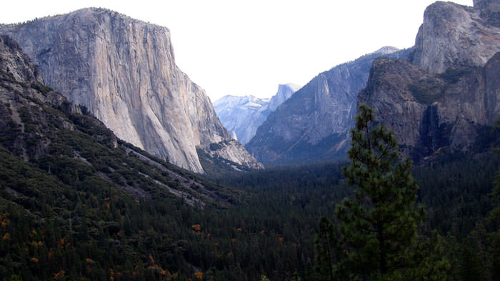 Plague Strikes Child in Yosemite