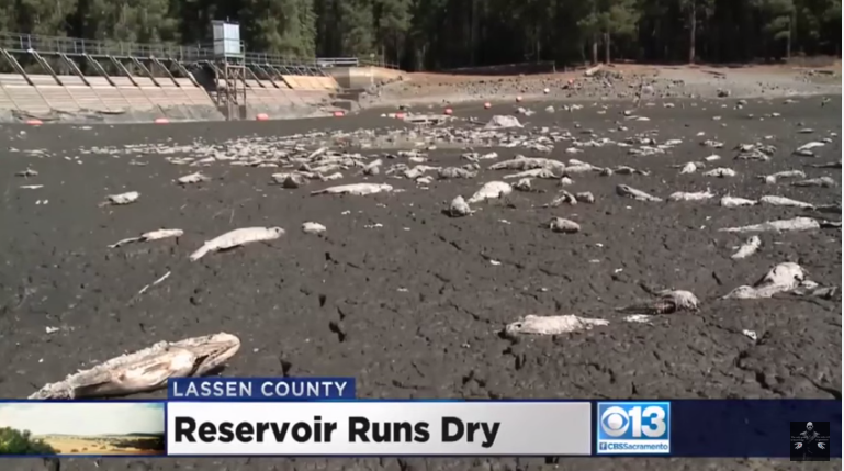 CA Reservoir Dried Up Overnight? That Smells Fishy!