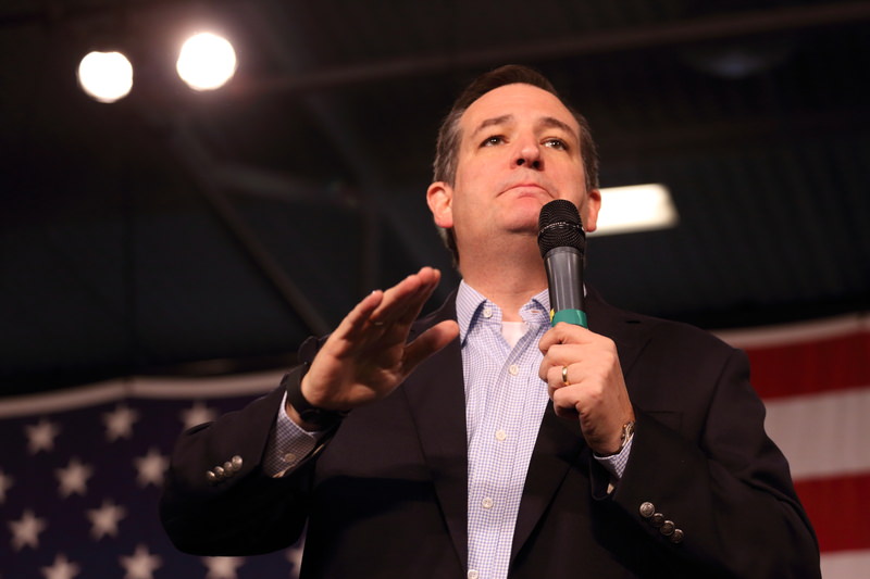 Ted Cruz Leads Attack on Muslim Brotherhood