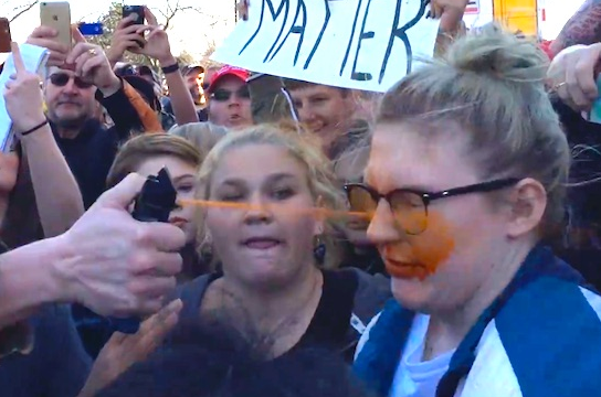 Trump Protester Sucker Punches Man, Gets Maced