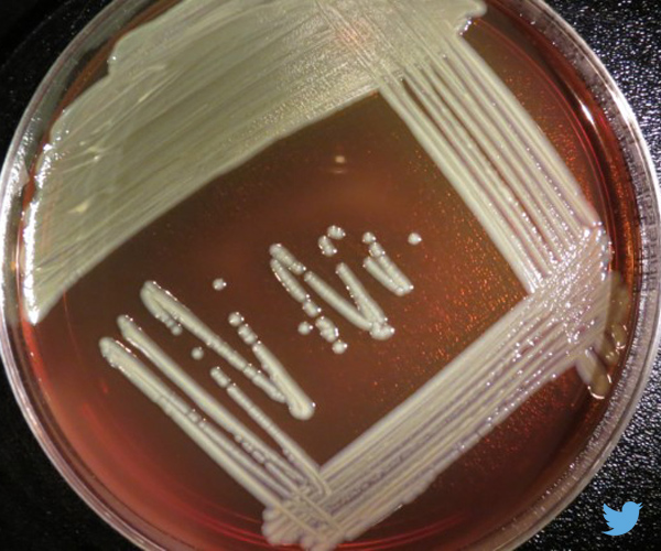 Virulent Strain of Bacterial Infection Spreads from Wisconsin to Illinois