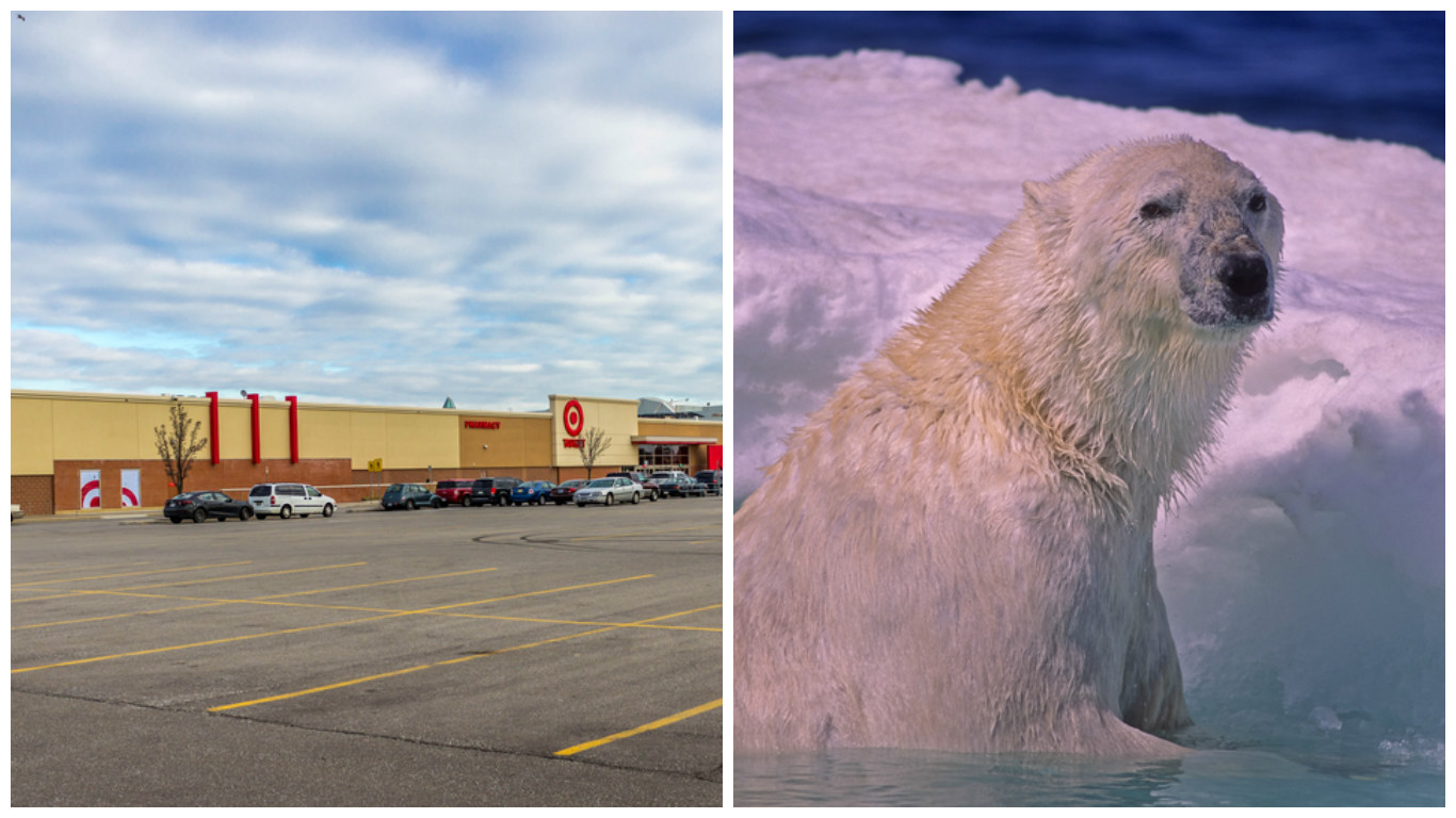 Target CEO: Climate Change — not Bathroom Policy — Responsible for Sales Plummet