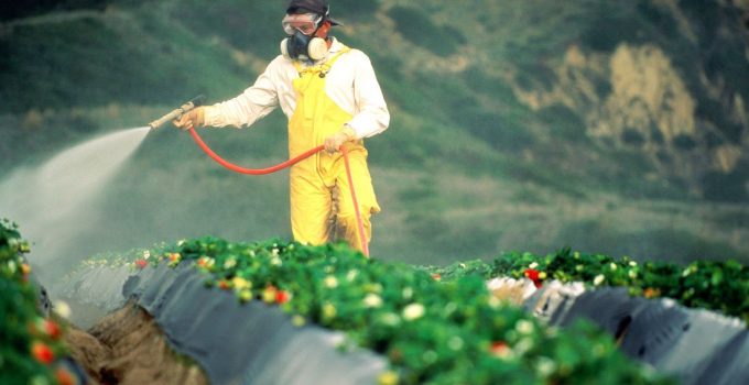 Monsanto Claims That Chemical Glyphosate in Roundup is ‘Medicine’