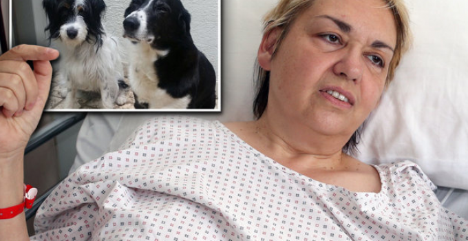 Dog Walker Violently Attacked by Somali Migrant Screaming ‘Dogs Are Unclean’