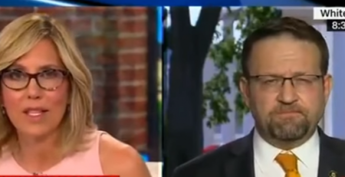 Gorka Crushes Camerota: More People Watch Nick At Nite Cartoons Than CNN