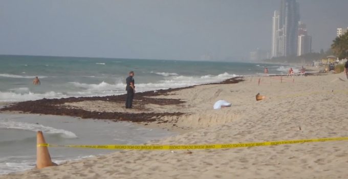 Federal Tax and Visa Prosecutor Found Dead on Debbie Wasserman Schultz’s Beach