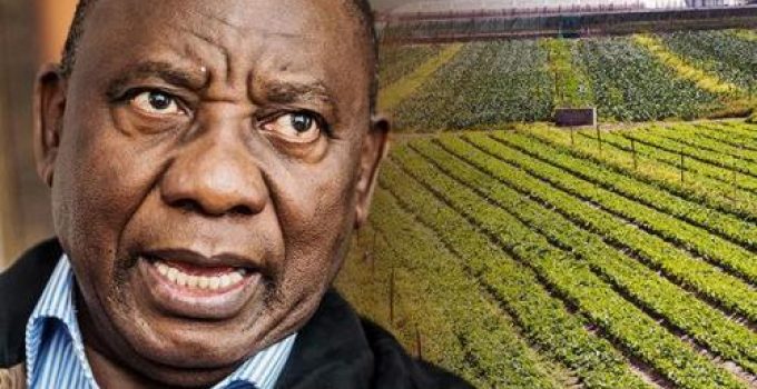 Seizure of White-owned Farmland Begins in South Africa