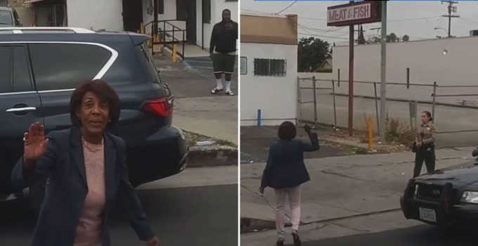 Maxine Waters Intervenes When Police Detain Black Suspect