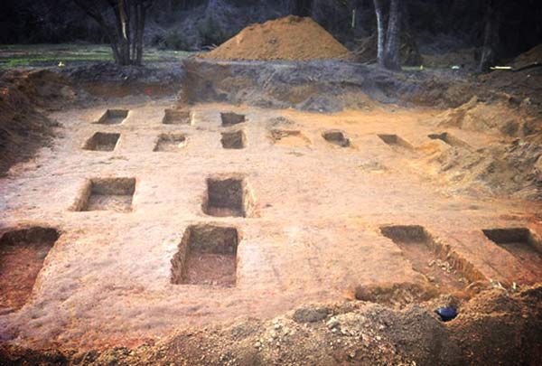 Video: Remains of 55 Bodies Discovered at Florida School