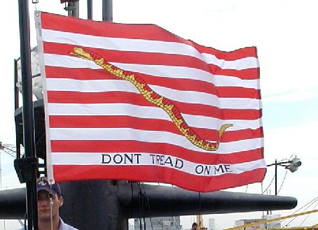 Navy SEALs Ordered to Remove Don’t Tread on Me, Navy Jack Flag Patches From Uniforms